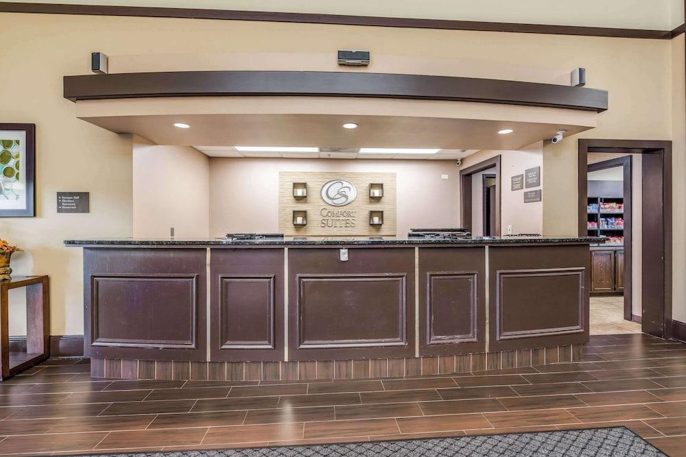Comfort Suites Chicago O'Hare Airport photo 44
