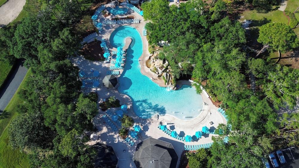 Innisbrook Resort photo 86