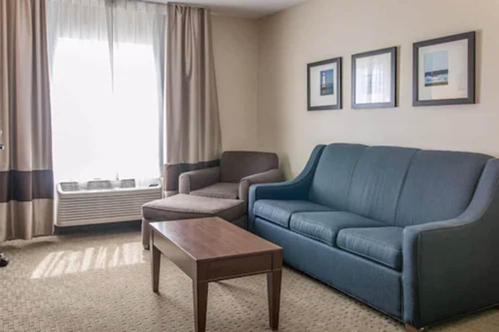 Comfort Suites Wixom - Novi photo 23