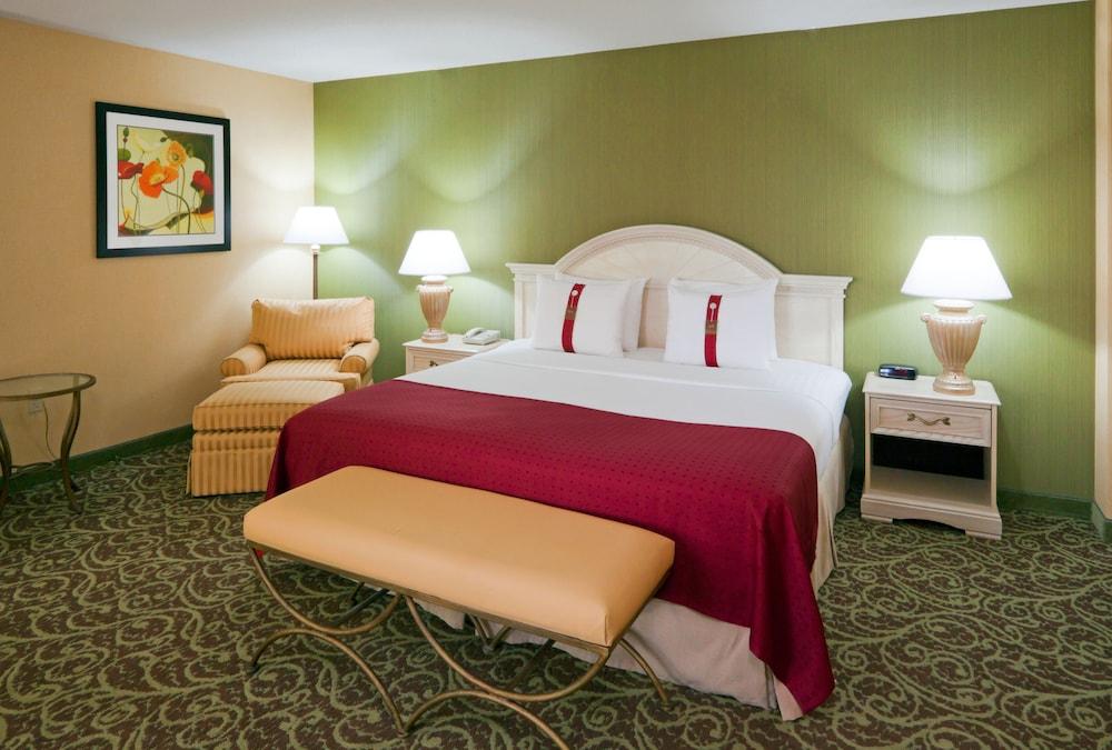 Holiday Inn Chantilly-Dulles Expo Center by IHG photo 4