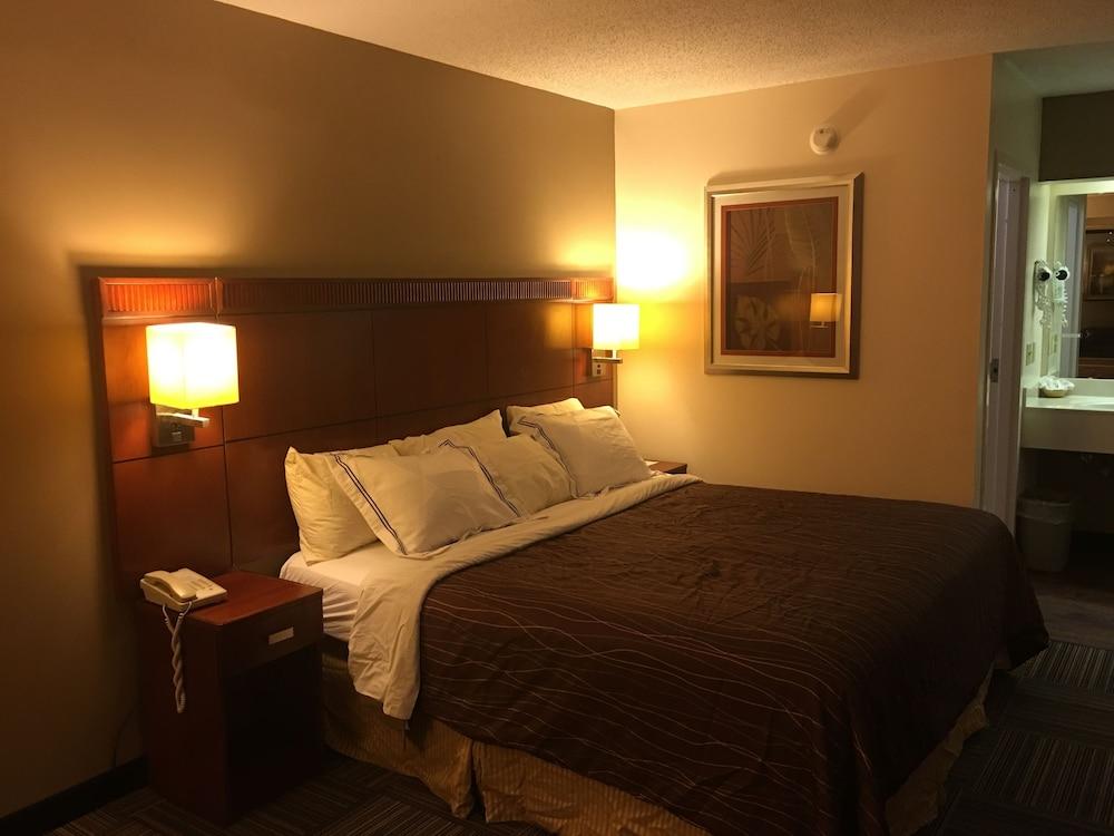 Nation's Inn photo 12