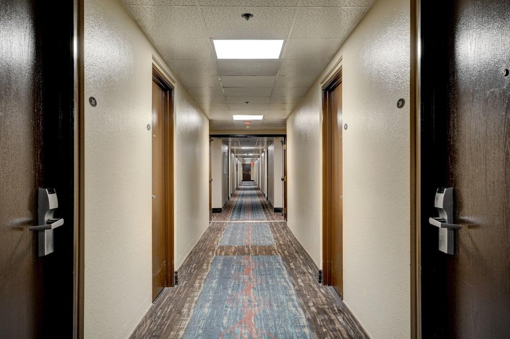 Longhorn Casino & Hotel photo 24
