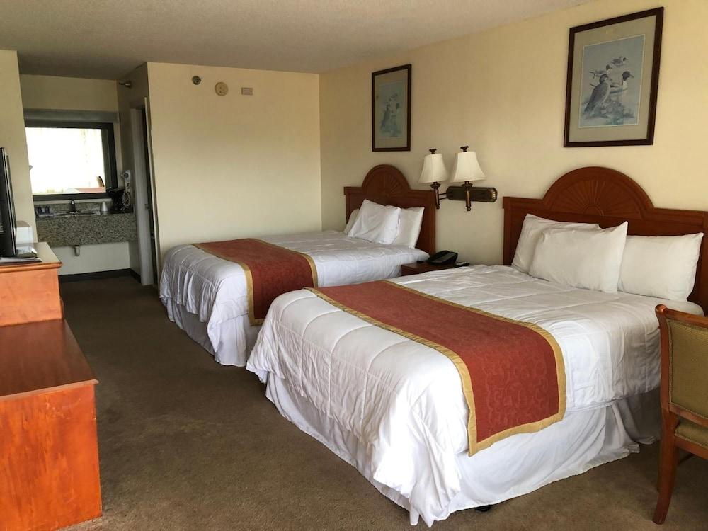 Travel Inn photo 30