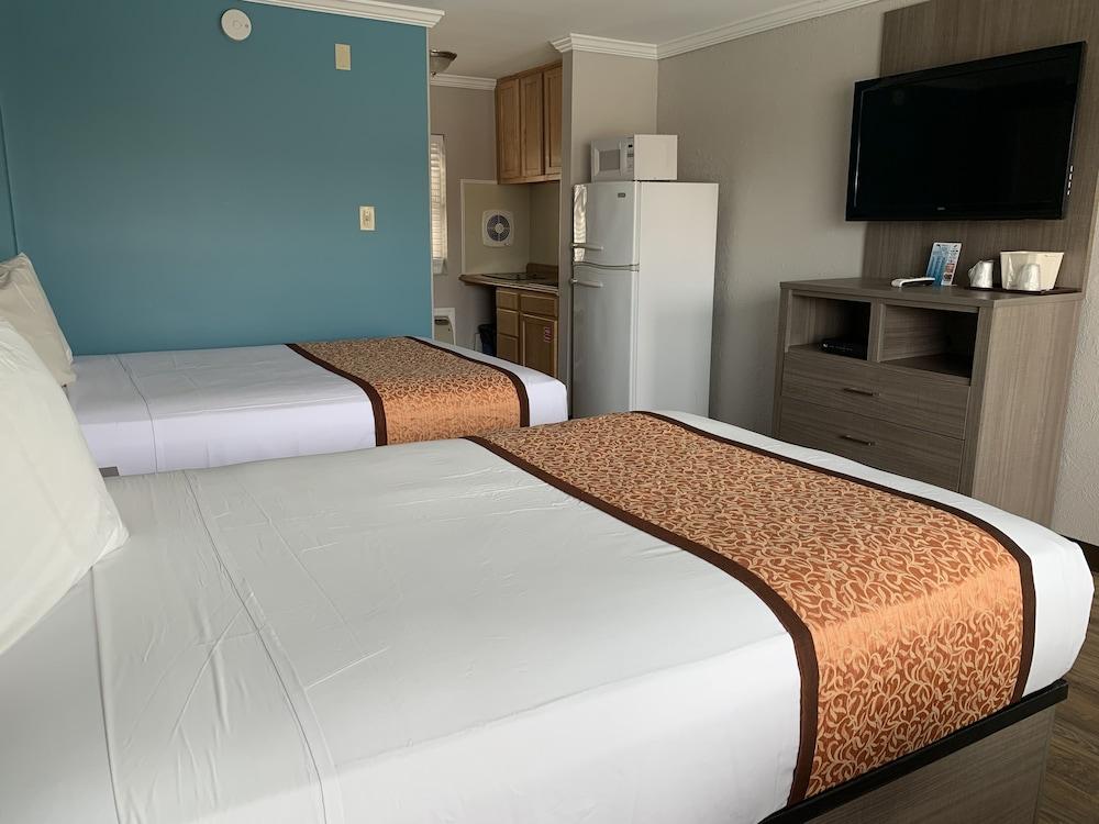 Dolphin Inn photo 29