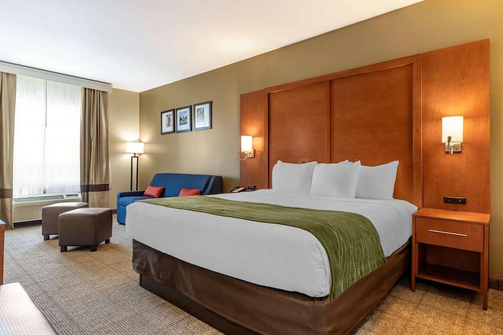 Comfort Inn & Suites Orangeburg photo 5