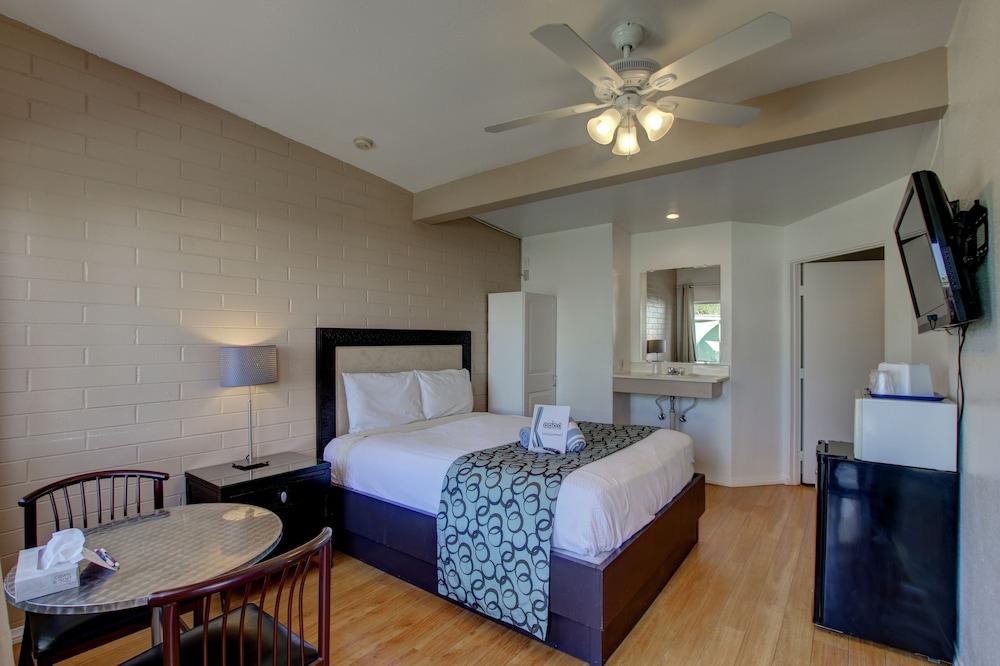 CCBC Resort Hotel - A Gay Men's Resort photo 8