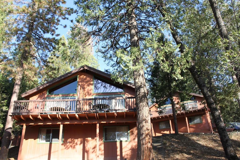 The Pines Resort photo 68