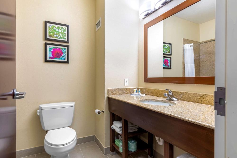 Comfort Suites Copperas Cove photo 6