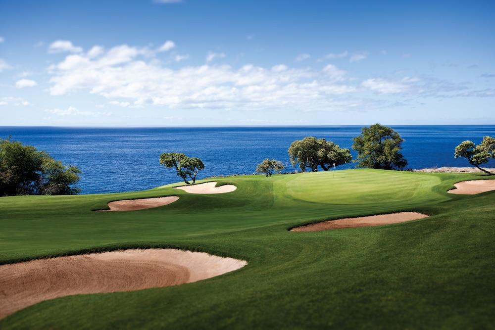 Four Seasons Resort Lanai photo 74