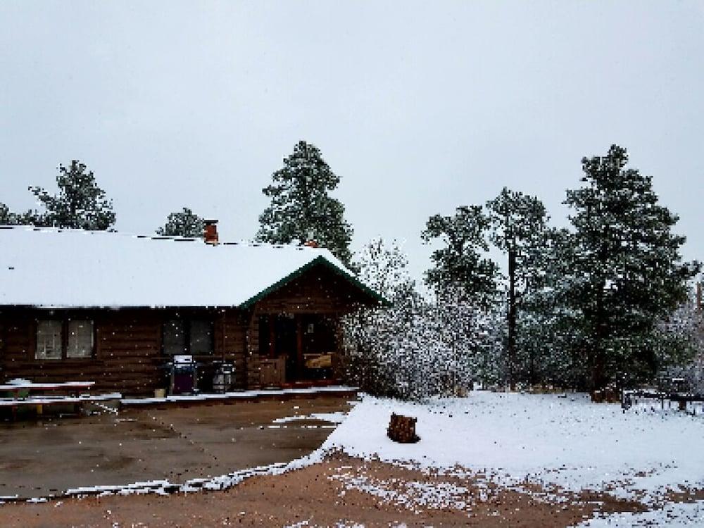 Black Forest Lodge photo 66