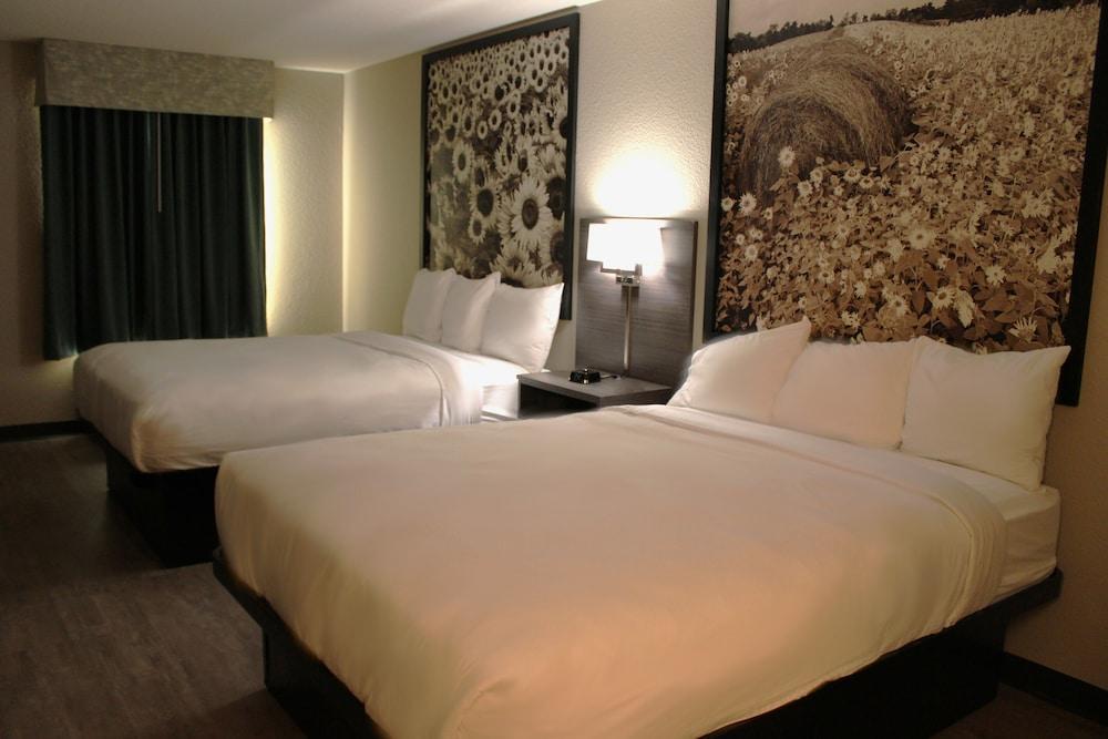 Boarders Inn & Suites photo 7
