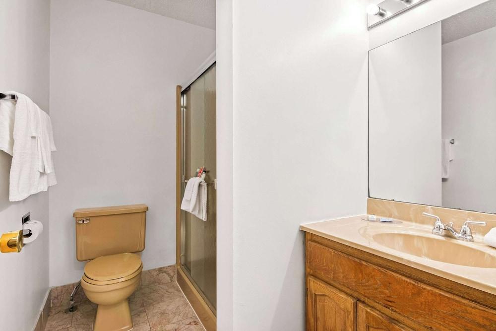 Econo Lodge Manistee photo 19