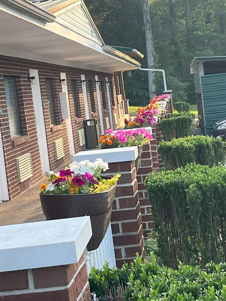 Pine Tree Inn photo 54