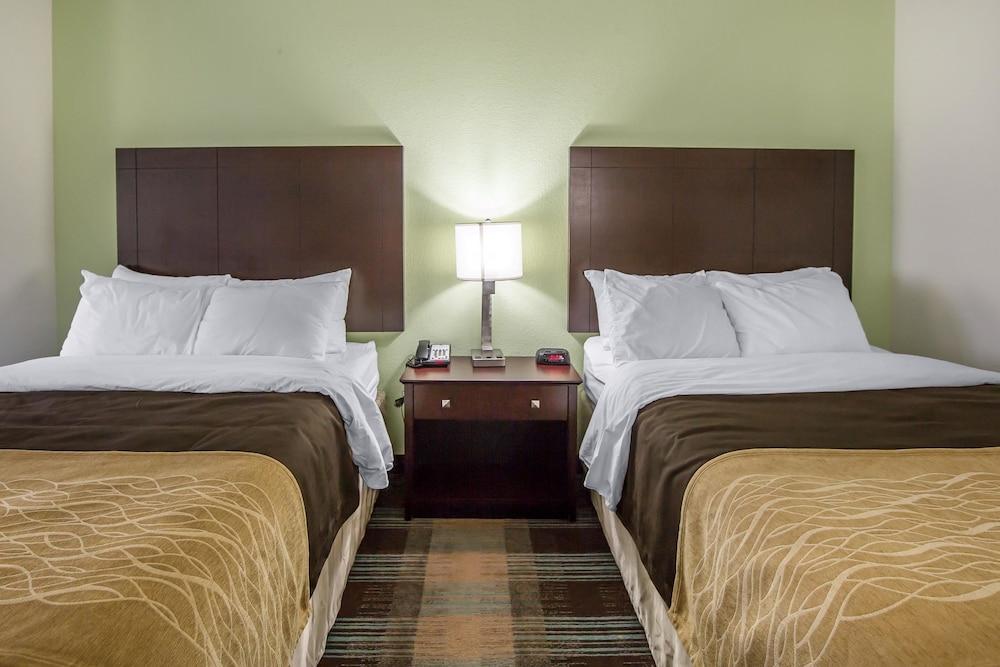 Comfort Inn Lexington South photo 5