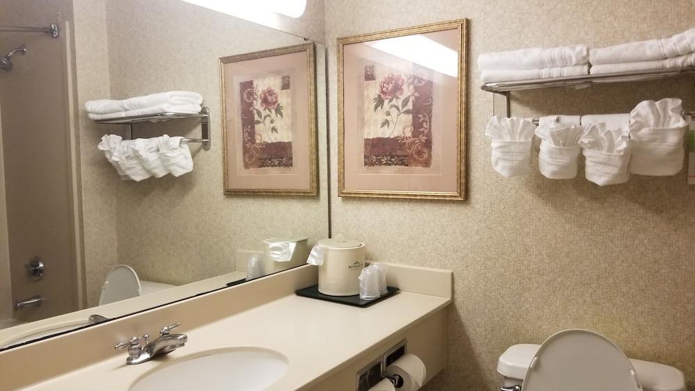 Wingate by Wyndham Indianapolis Airport-Rockville Rd. photo 30