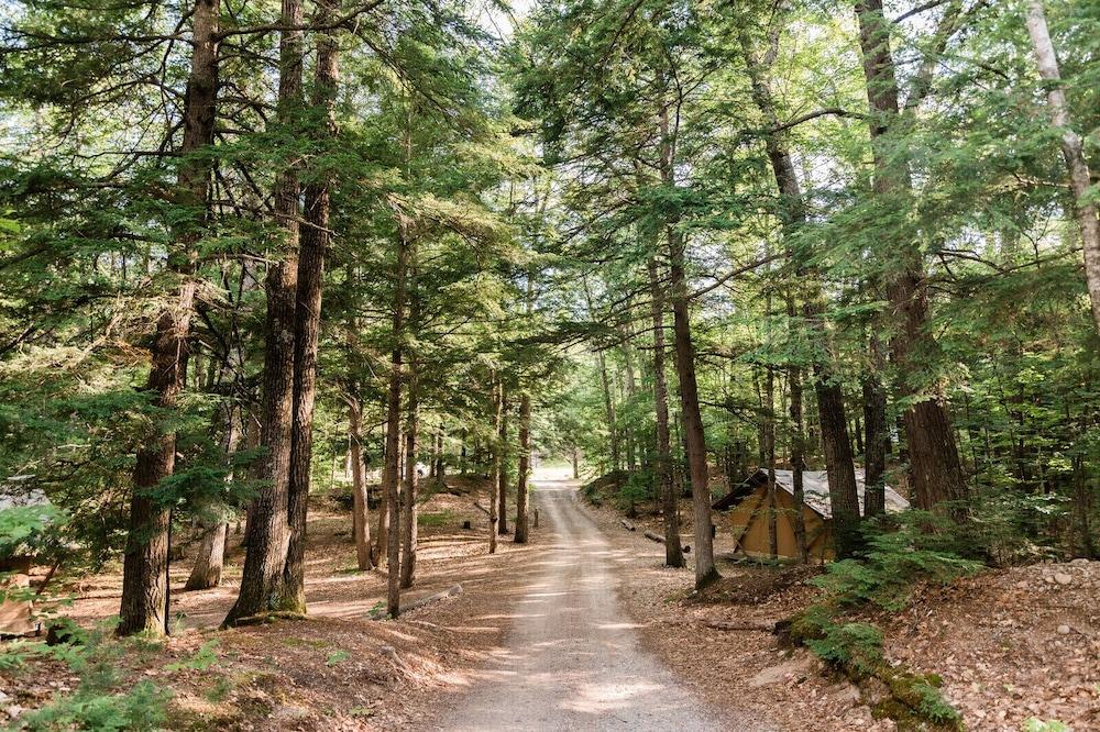 Huttopia White Mountains photo 81