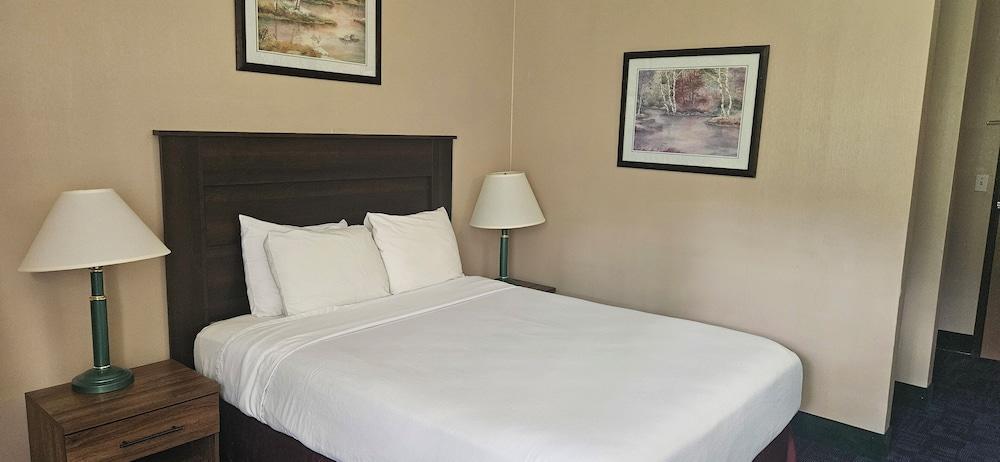 Bellis Inn photo 16