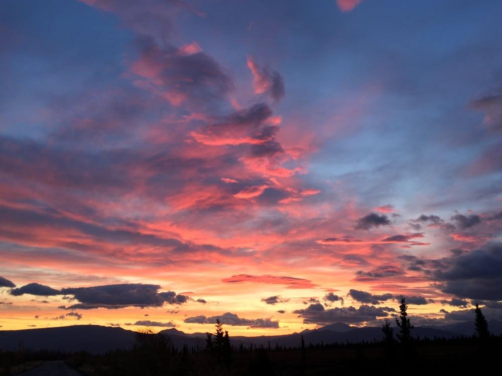 Earthsong Lodge photo 51