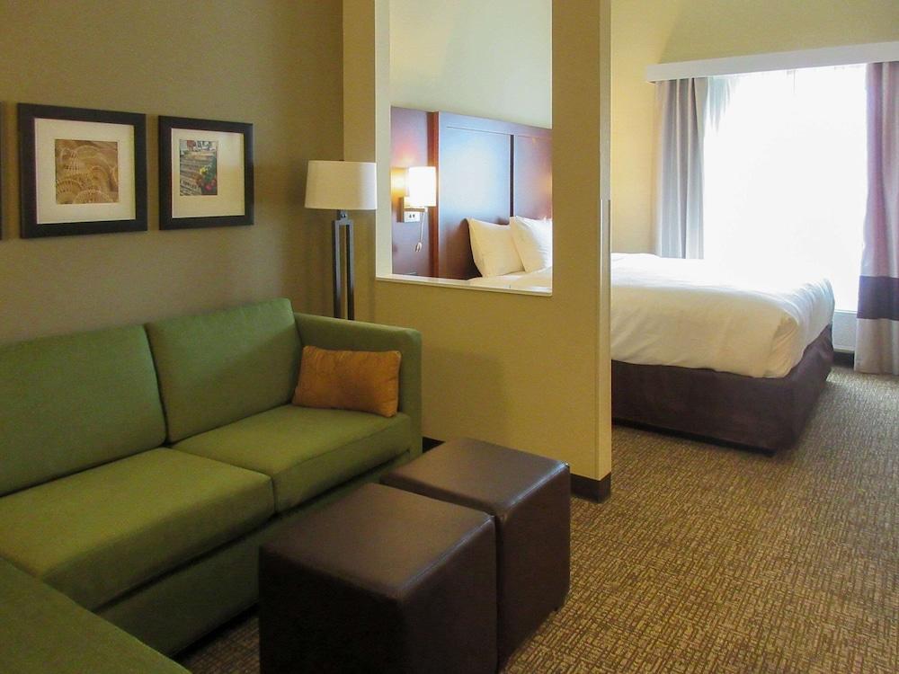 Comfort Suites Summerville photo 9