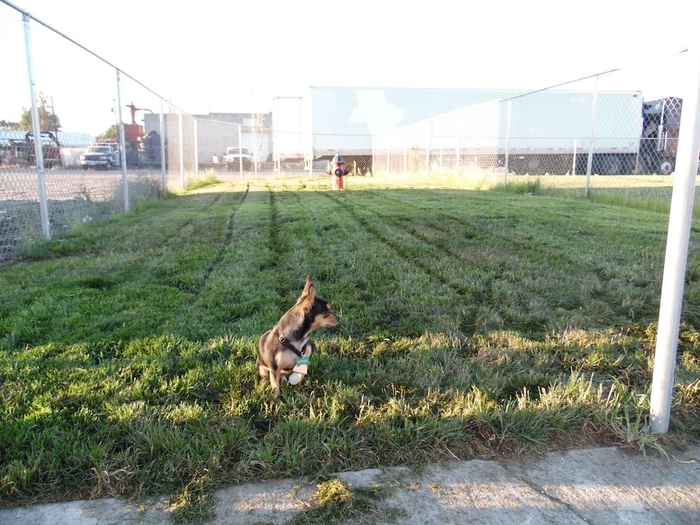 Rodeway Inn Hermiston - Umatilla photo 29