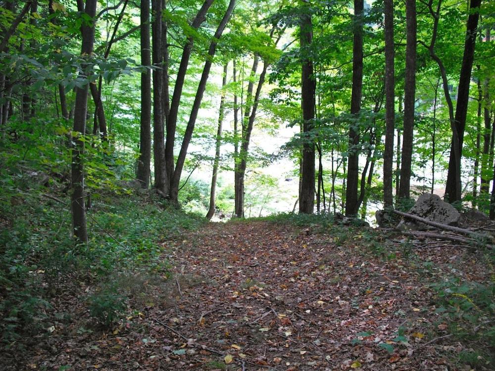 Black Bear Lodge photo 27
