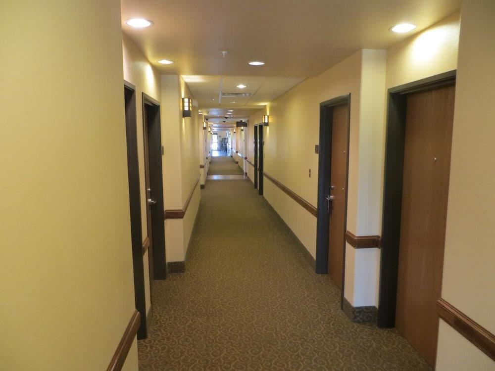 Hotel Texas photo 32