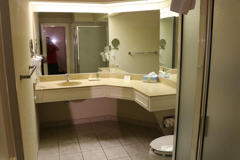 Imperial Swan Hotel & Suites photo 18