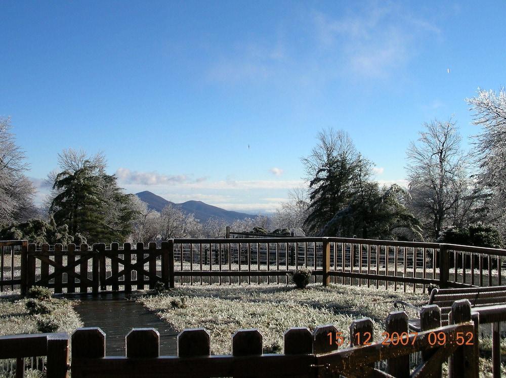 Bent Mountain Lodge photo 10