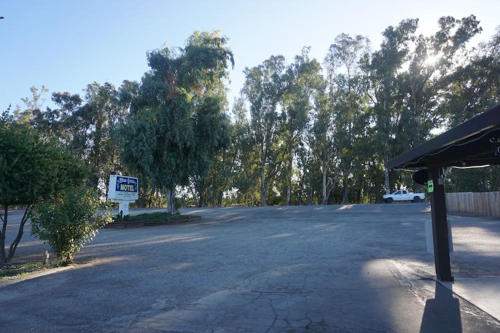 Blue Gum Motel photo 31