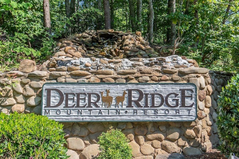 Deer Ridge Mountain Resort photo 1