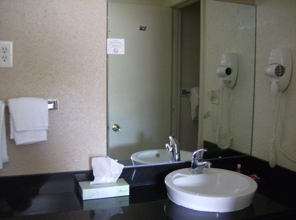 Econo Lodge Inn & Suites photo 28