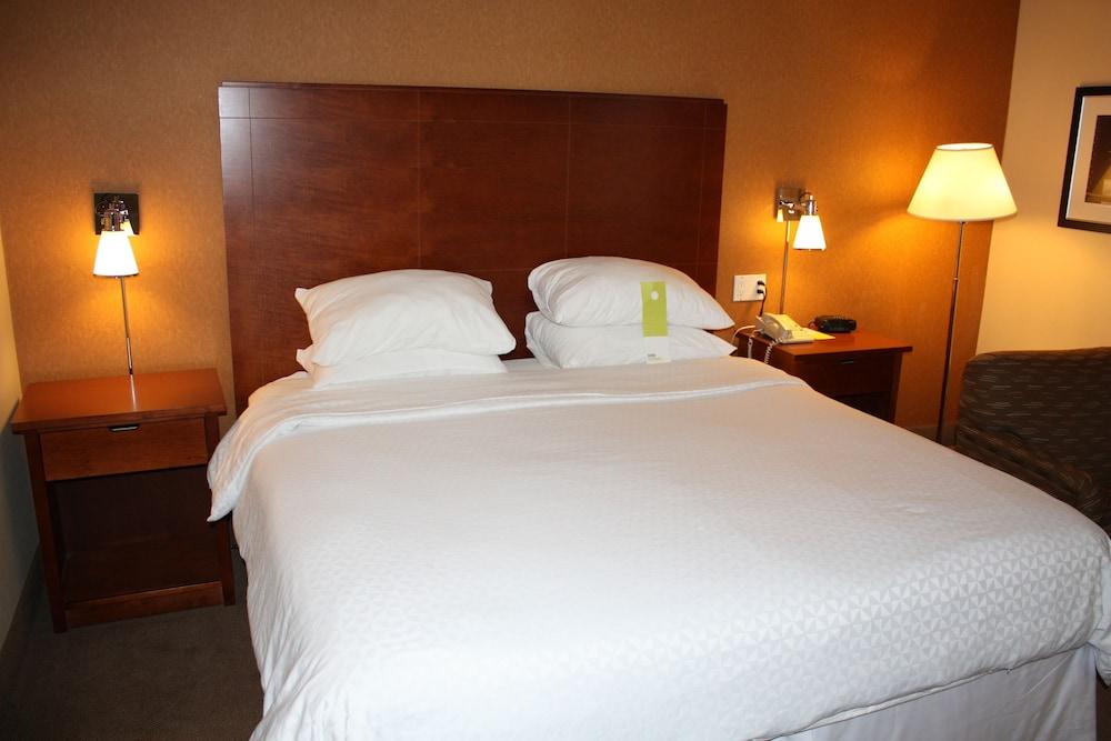 Four Points by Sheraton Chicago O'Hare Airport photo 7