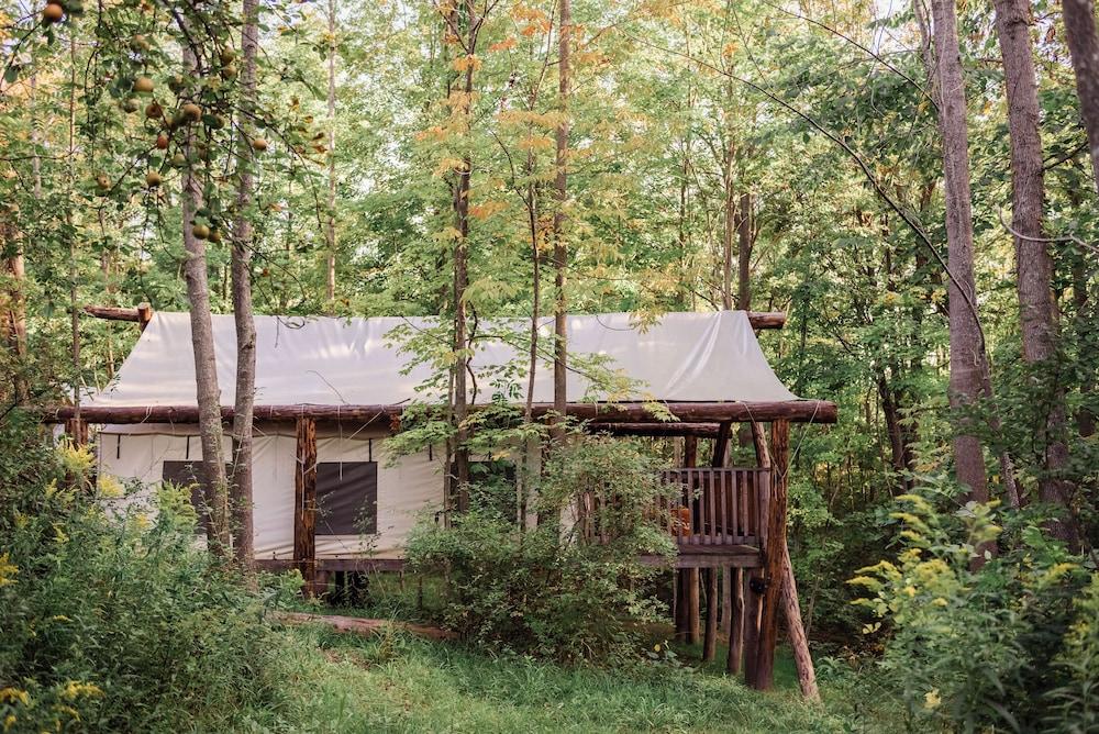 Firelight Camps photo 1