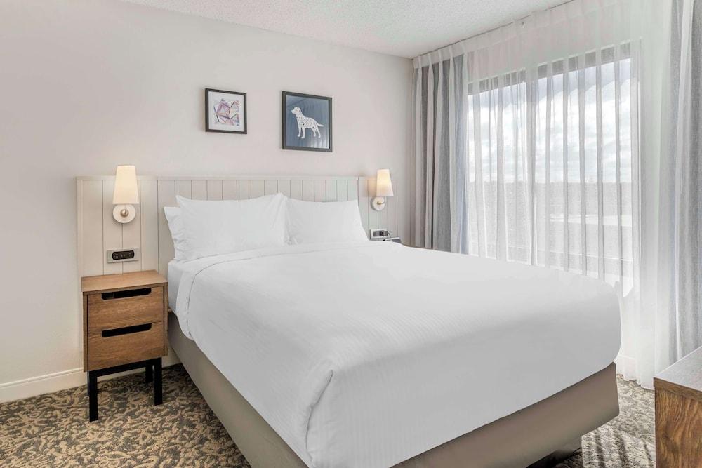 Sonesta ES Suites San Antonio Downtown Alamo Plaza photo 14