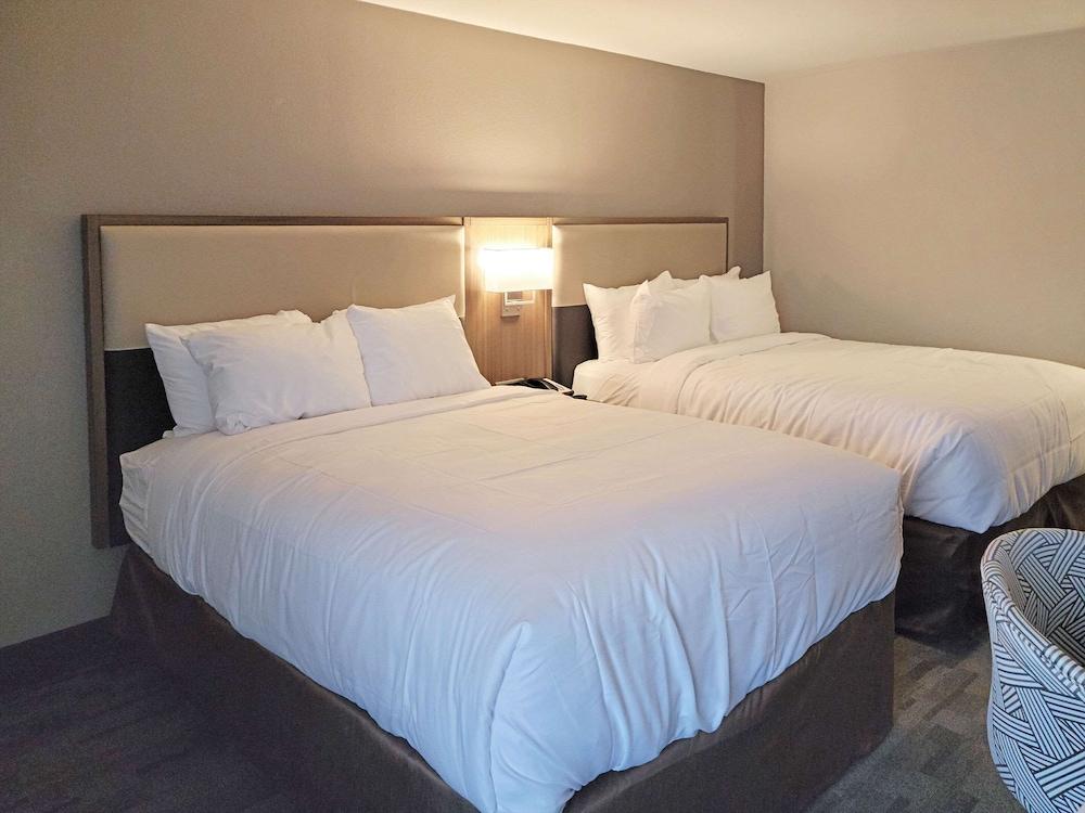Comfort Inn & Suites Wyomissing/Reading photo 3