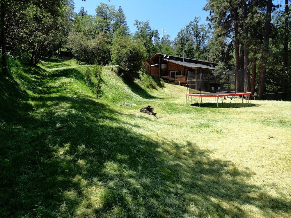 Evergreen Haus photo 71
