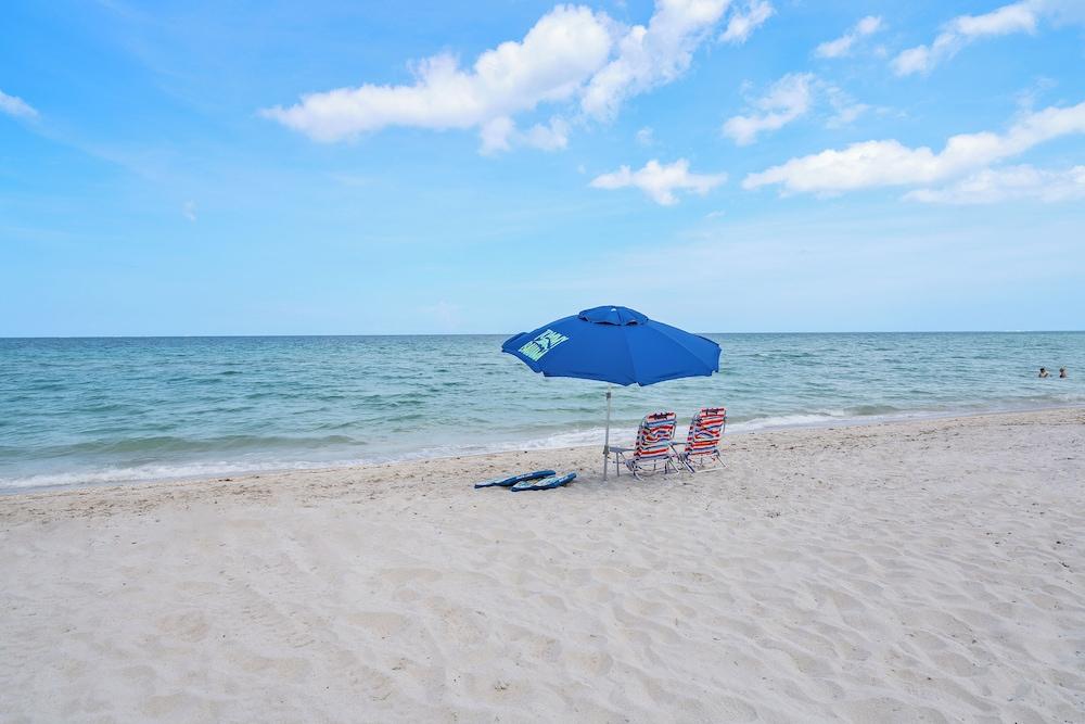 Palm By The Sea photo 13