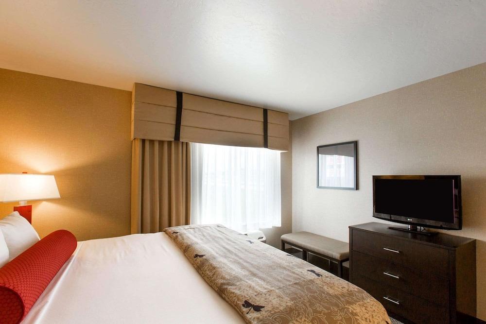 Cambria Hotel Rapid City near Mount Rushmore photo 8