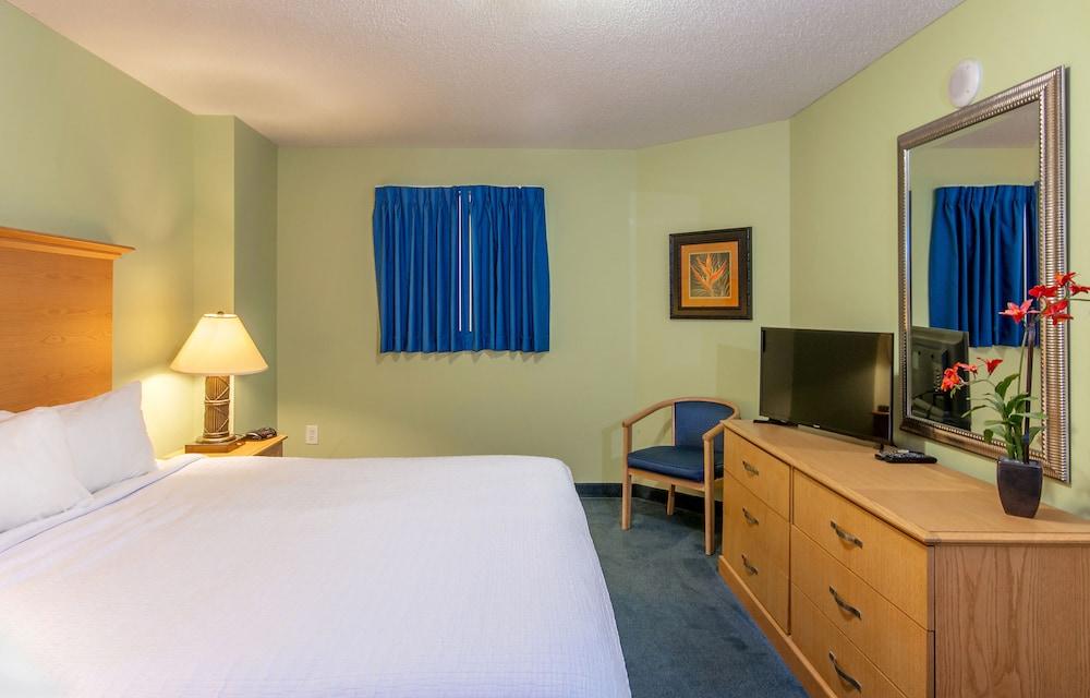 Paradise Resort photo 44