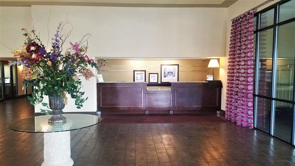 Orlando Palms Hotel photo 1
