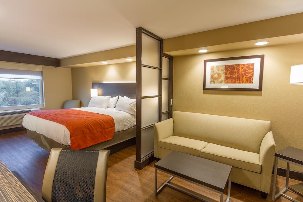 Holiday Inn Express & Suites San Antonio Medical-Six Flags by IHG photo 16