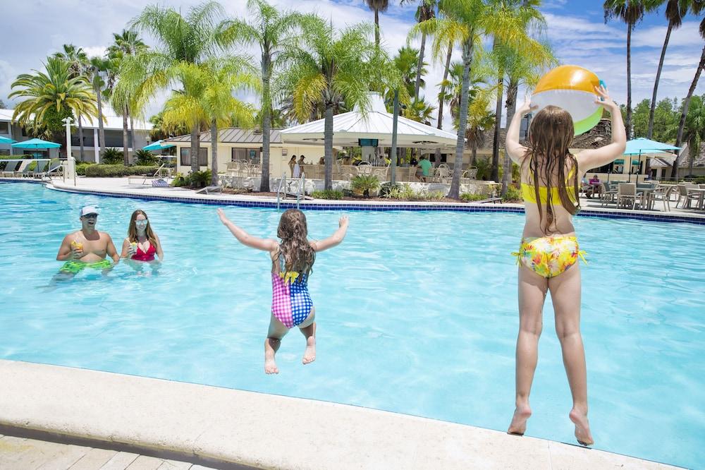 Saddlebrook Resort photo 83