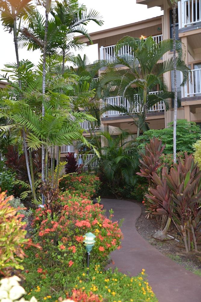 Sea Village photo 31