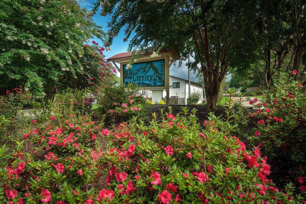 Loreley Resort photo 18