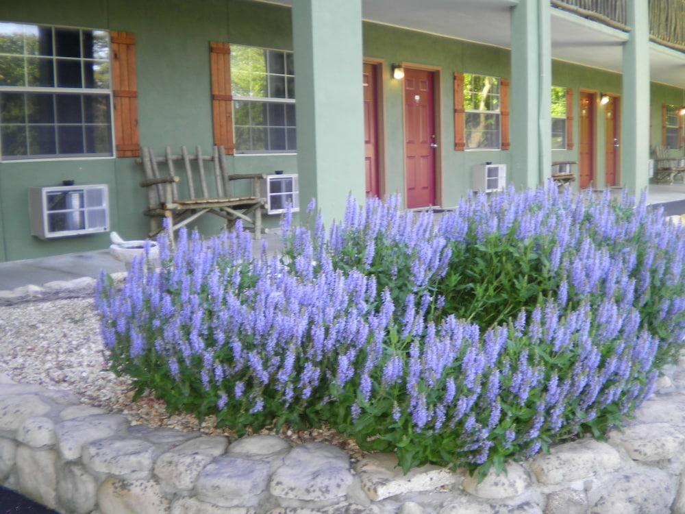 The Lodge photo 3