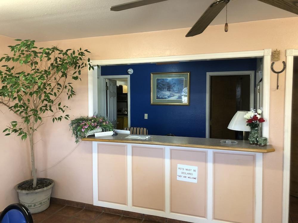 Stay Inn photo 5