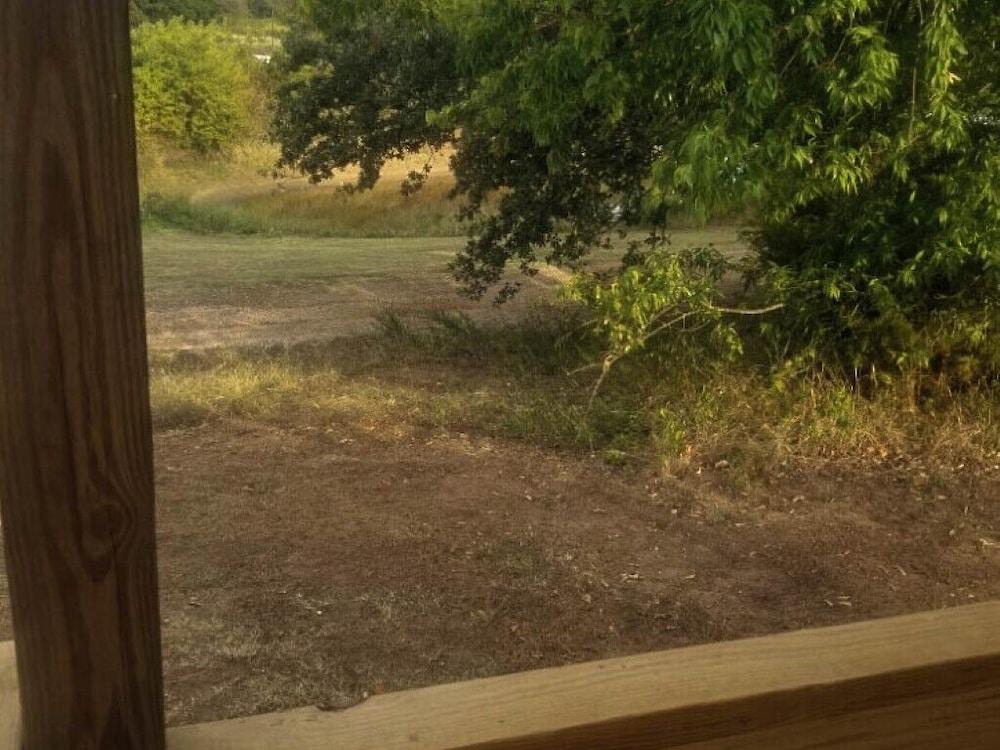 Willow Springs Marina photo 81
