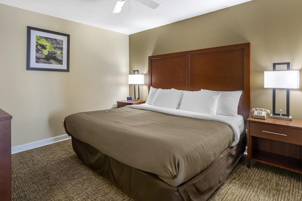 Richland Inn of Columbia photo 16