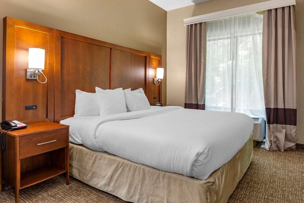 Comfort Suites Clayton - Garner photo 14