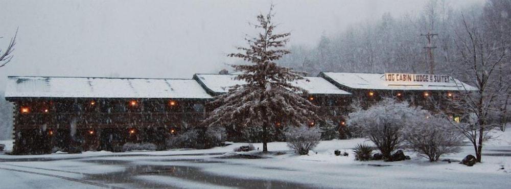Log Cabin Lodge & Suites photo 1